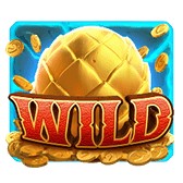 wild_dragon-hatch